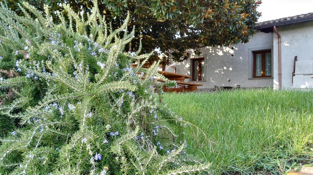 Sole Mio Bed & Breakfast Velletri